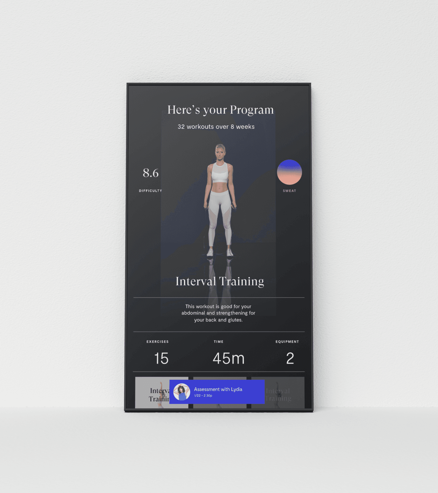 Mirror Device Program