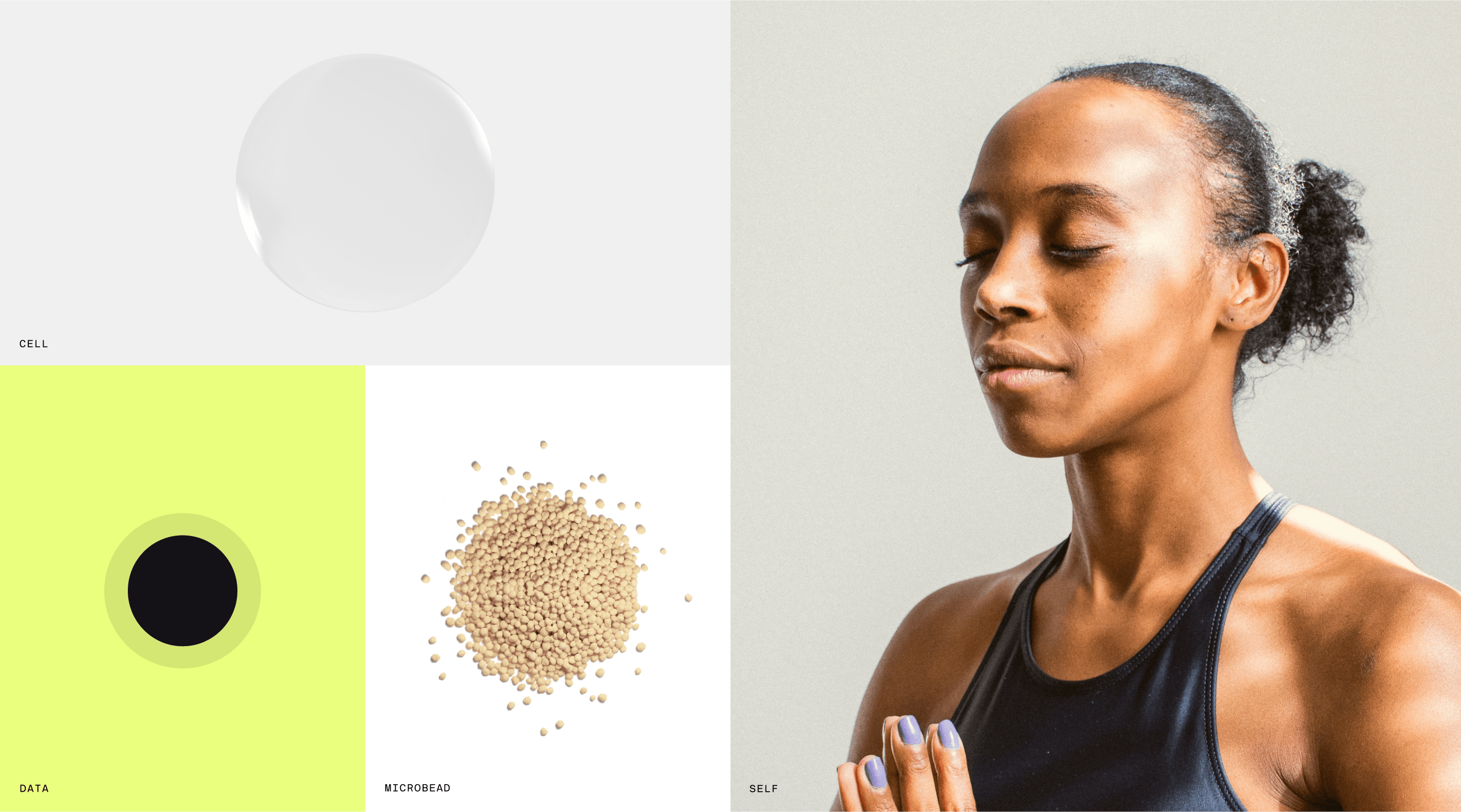 The cell, data, microbead, and self