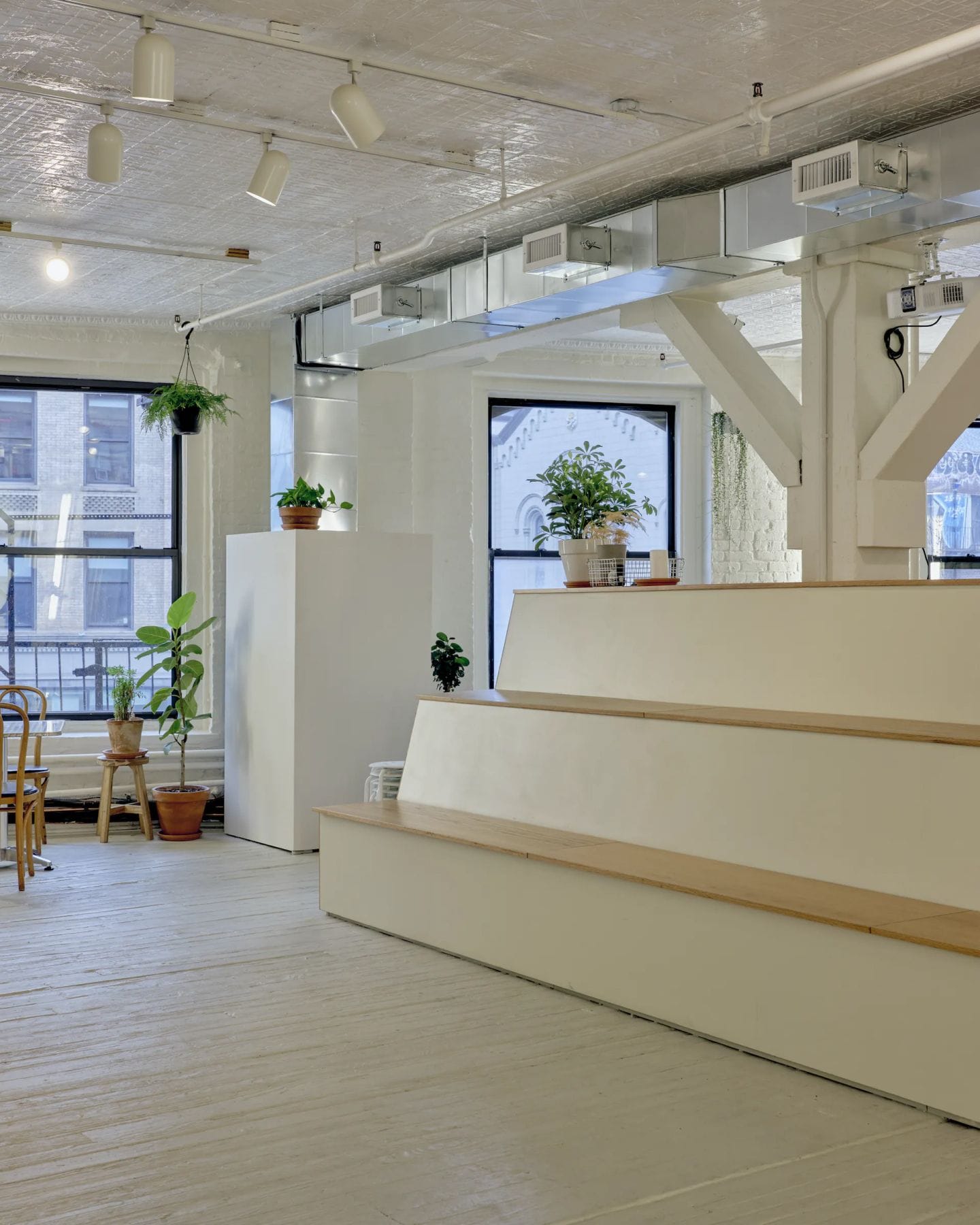 Index NYC studio interior with stepped seating, plants on plinths, and tall windows.