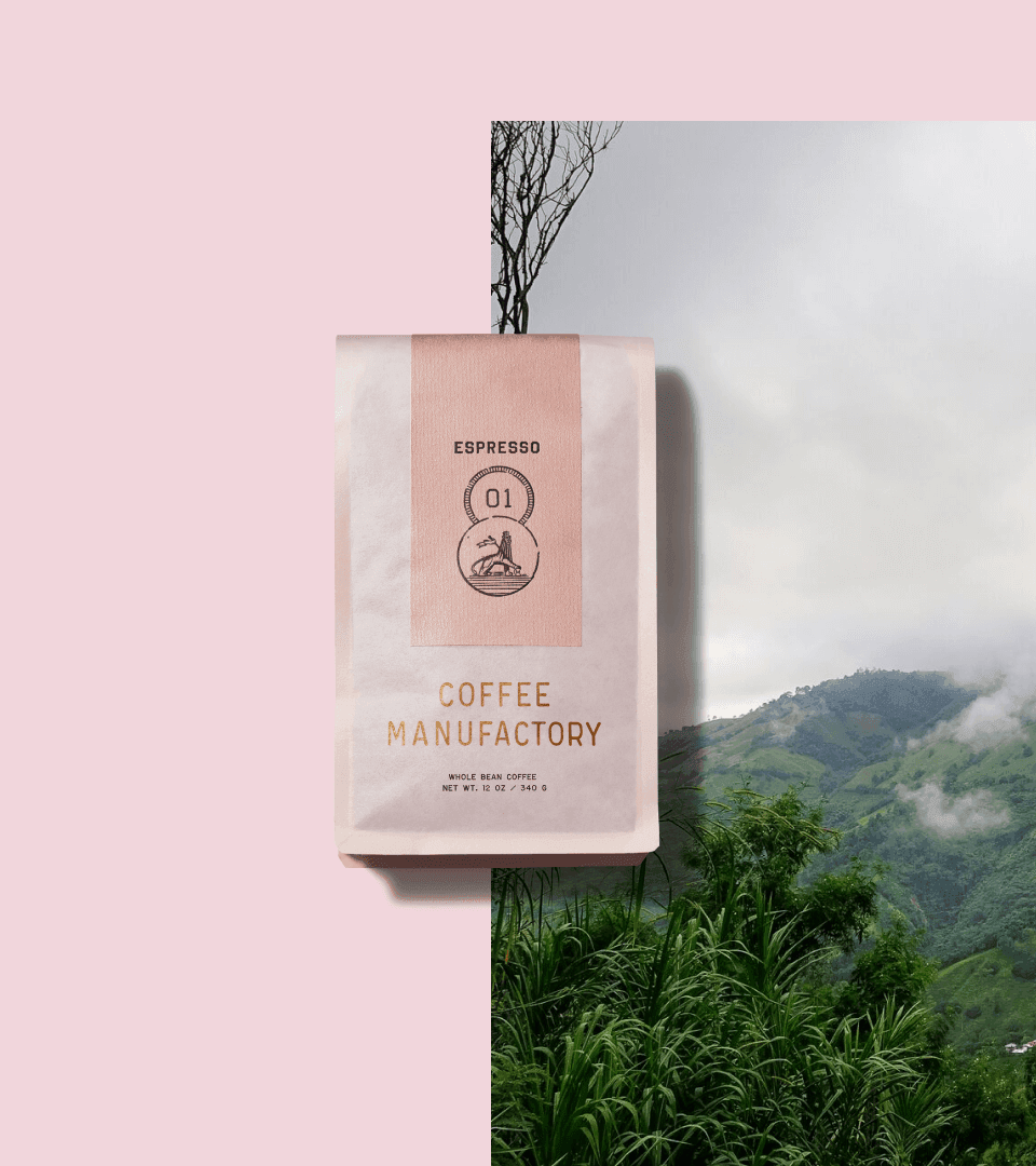Cover for Coffee Manufactory: a straight-on photo of a kraft coffee bag with the wordmark.