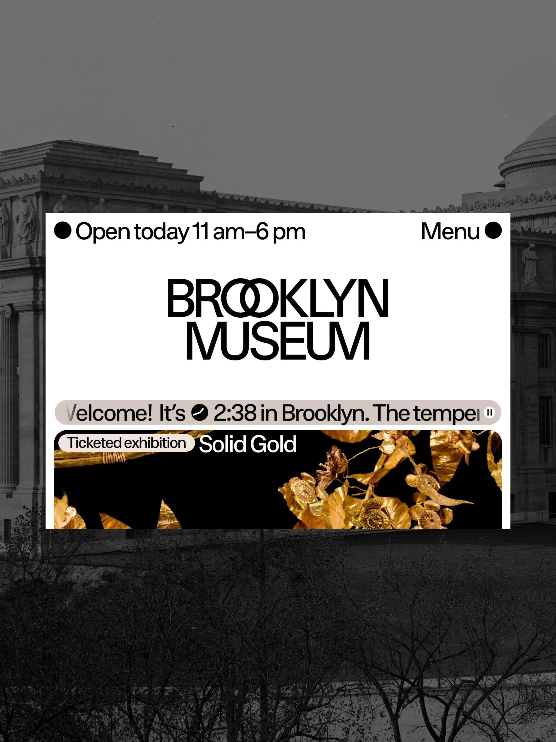 Brooklyn Museum website